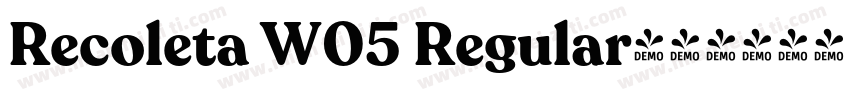 Recoleta W05 Regular字体转换